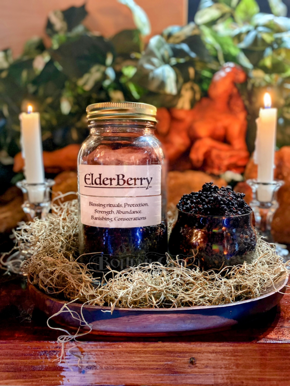 Elderberry