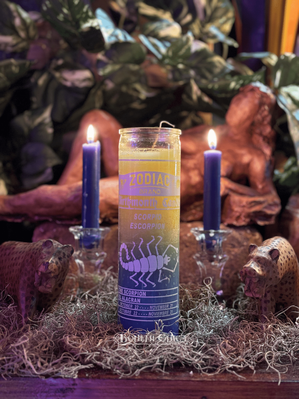 Scorpio Zodiac 7-Day Conjure Candle